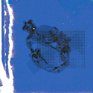 妻子被按摩师按高潮
